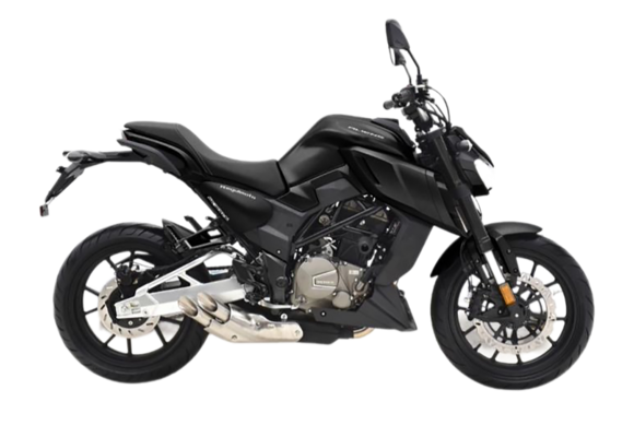 Мотоцикл Regulmoto ALIEN MONSTER 300 (Черный) pitbikemarket.ru