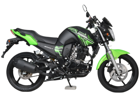 Мотоцикл дорожный Motoland BANDIT 300 зеленый pitbikemarket.ru